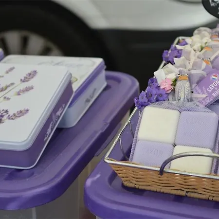 Lv330-a169 4 Couchages * Le Lavandou