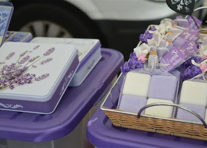 Lv330-a169 4 Couchages * Le Lavandou